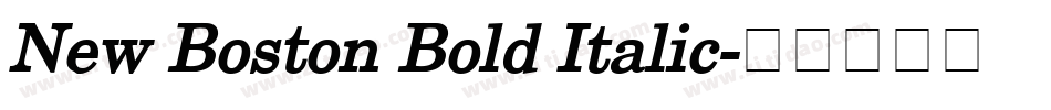 New Boston Bold Italic字体转换